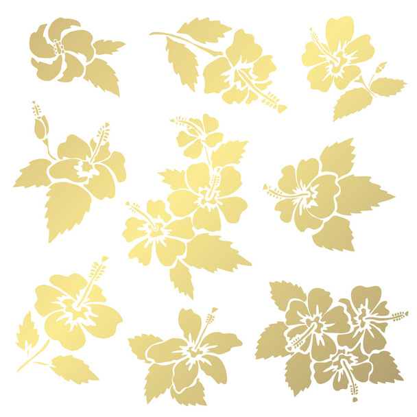 Decorative  hibiscus flowers, design elements. Can be used for cards, invitations, banners, posters, print design. Golden flowers - Вектор, зображення