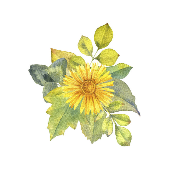watercolor drawing flowers - Foto, Imagem