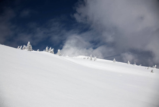зимний фон заснеженных елок в горах
 - Фото, изображение