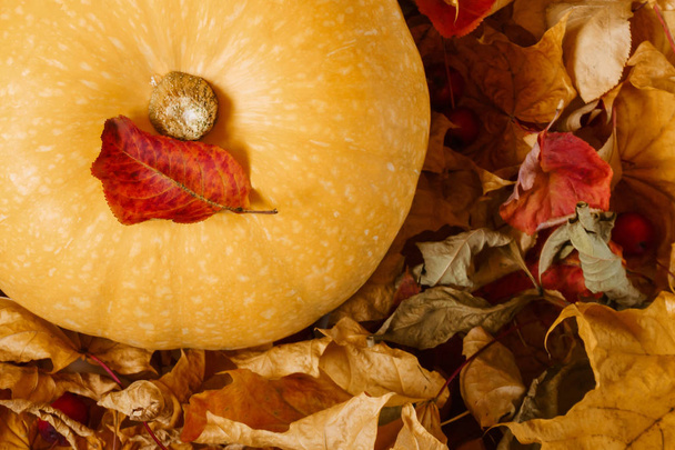 yellow pumpkin among dry autumn leaves and fallen wild apples - Photo, Image