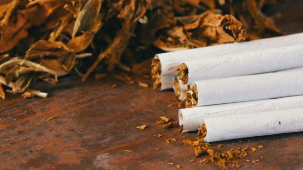 Filter hausgemachte Zigaretten oder Roll-up neben trockenen Tabakblättern gefüllt mit gehacktem Tabak - Filmmaterial, Video