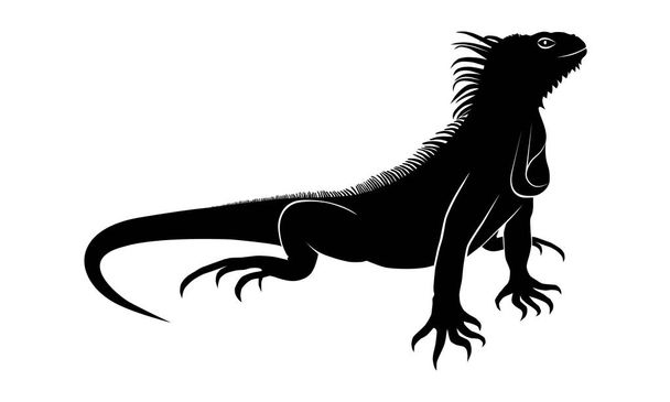 Ikone Leguan. Flacher Symbolleguan. isolierte schwarze Zeichen Leguan auf weißem Hintergrund. Vektorillustration - Vektor, Bild