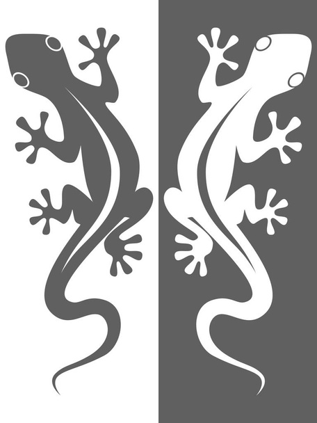 abstraktes Symbol oder Zeicheneidechse isoliert auf weißem und schwarzem Hintergrund. Vektorillustration - Vektor, Bild