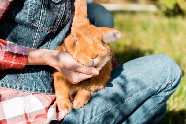 Teilansicht einer Frau, die ein entzückendes braunes Kaninchen im Freien hält  - Foto, Bild
