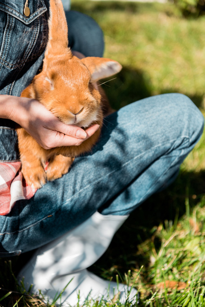 cropped image of woman holding adorable brown rabbit outdoors  - Photo, Image