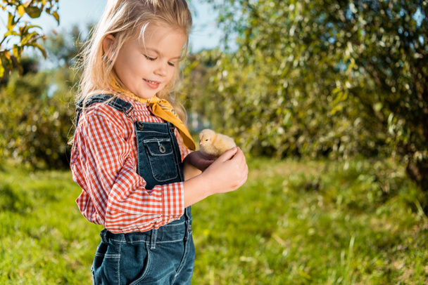 smiling little kid holding adorable yellow baby chick outdoors  - Foto, imagen