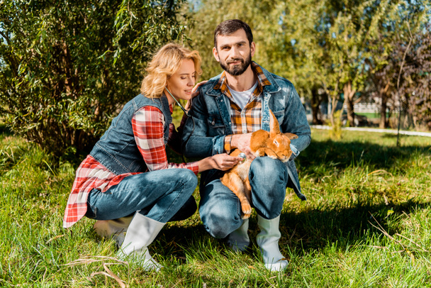 guapo granjero macho sosteniendo conejo mientras su novia escuchando conejo por estetoscopio en granja
 - Foto, imagen