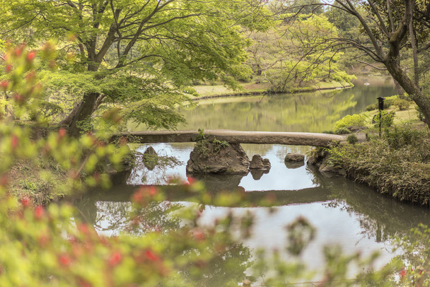 japonské Togetsu Stone bridge a květina bokeh na rybníku Rikugien parku ve čtvrti Bunkyo, severně od Tokia. Park byl vytvořen na začátku 18 století. - Fotografie, Obrázek
