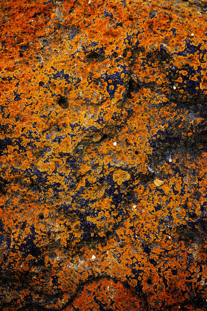 Rough rock texture with rusty colored growth old lichens rust - Zdjęcie, obraz