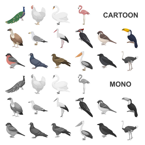 Soorten vogels cartoon pictogrammen in set collectie voor design. Huis en wilde vogel symbool voorraad web vectorillustratie. - Vector, afbeelding