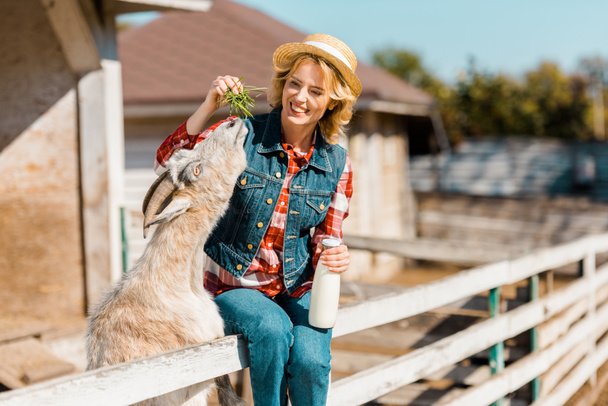 Selektiver Fokus einer Bäuerin mit Milchflasche, die auf einem Holzzaun sitzt und Ziegen auf der Ranch füttert - Foto, Bild