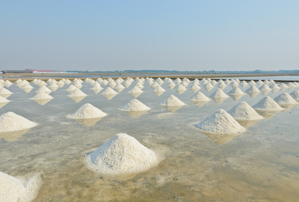 Pieux de sel marin
 - Photo, image