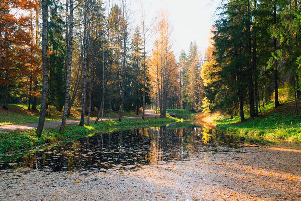 Bank of the Slavyanka river in Pavlovsk Park. Autumn landscape. - Fotó, kép
