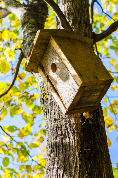Casas de pájaros como esta se puede encontrar mucho en Lituania. Los lituanos aman la naturaleza, la fauna y la flora. Se preocupan por la armonía entre el ser humano y la naturaleza
. - Foto, Imagen
