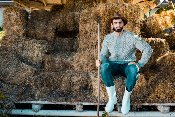 красивий чоловік фермер в светрі і солом'яному капелюсі, що сидить на стосах сіна на ранчо
 - Фото, зображення