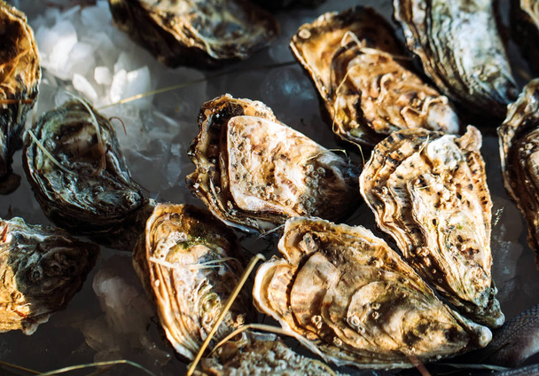 close-up of fresh raw oysters on ice - Valokuva, kuva