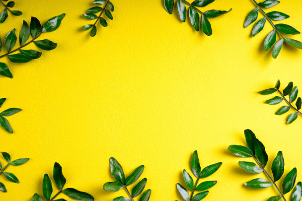 Composiciones de hojas verde pistacho sobre fondo amarillo. Patrón de hojas verdes. Vista superior, plano
 - Foto, Imagen