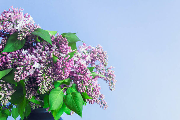Lilac bouquet on blue background with blank space for text. - Фото, зображення