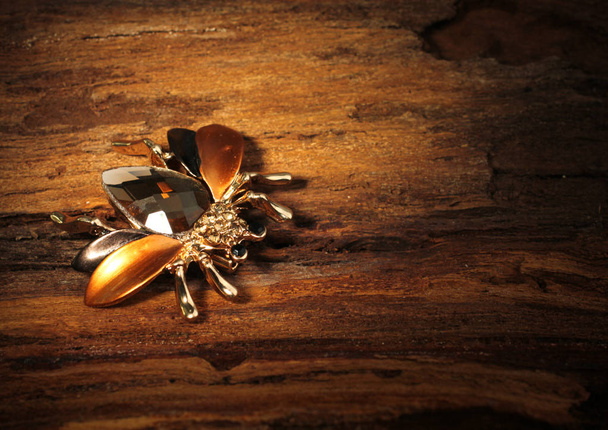 Jewelery bug brooch with gemstone on bark of tree background, copy space - Fotografie, Obrázek