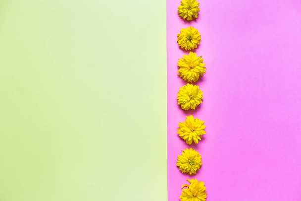 Flat lay with yellow summer flowers on yellow and pink background. Greeting card with copy blank space.  - Foto, afbeelding
