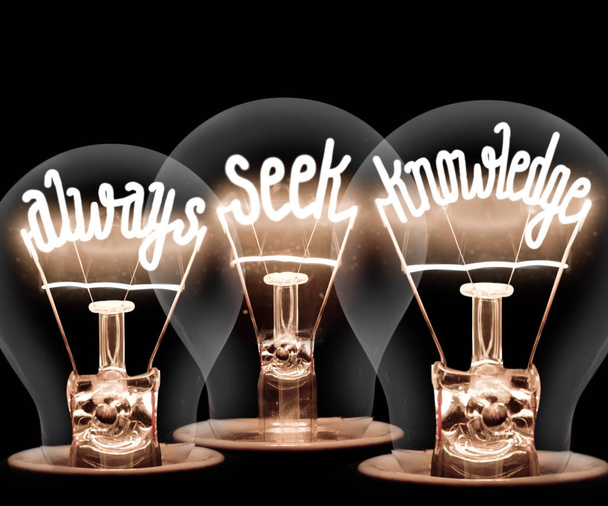 Foto de bombillas con fibras brillantes en forma SIEMPRE SEEK KNOWLEDGE sobre fondo negro
 - Foto, Imagen