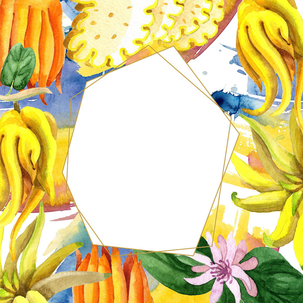 Planta tropical exótica fruta selvagem em um estilo aquarela isolado. Quadro borda ornamento quadrado
. - Foto, Imagem