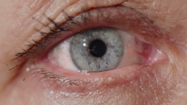 Close-up van oog - Video