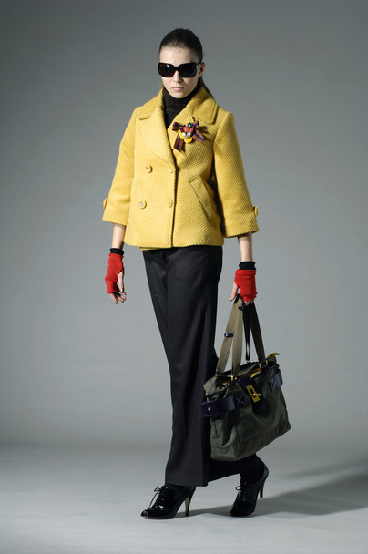 Fashion model with bag - Foto, Imagen