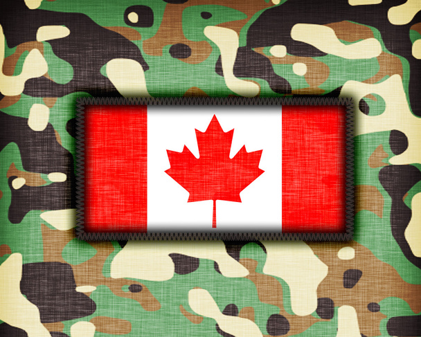 Amy kamuflażu jednolite, Kanada - Zdjęcie, obraz