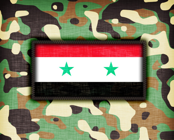 Amy camouflage uniform, Syria - Photo, Image