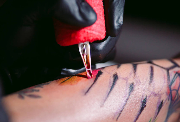 Professional tattoo artist makes a tattoo on a young girl's hand. - Zdjęcie, obraz