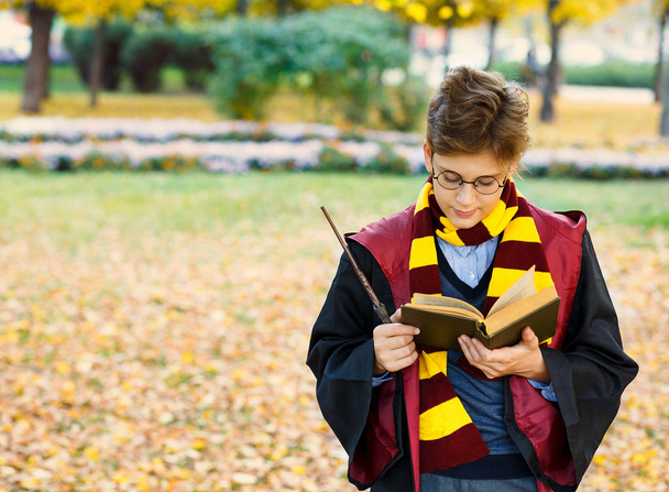 jongen in glazen staat in herfst park toverstaf in zijn handen houdt, boeken, draagt in zwart pak en gestreepte sjaal. Halloween kostuum, cosplay - Foto, afbeelding