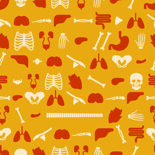 Human anatomy pattern seamless. Skeleton and Internal organs background. Systems of man body and organs ornament. medical systems texture. vector illustratio - Vektor, Bild