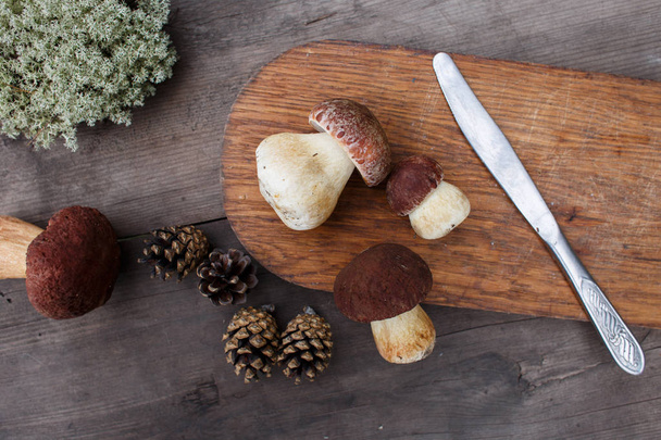 Boletus mushrooms lying on a wooden cutting board, pine cones and moss on a wooden old table. - Foto, afbeelding