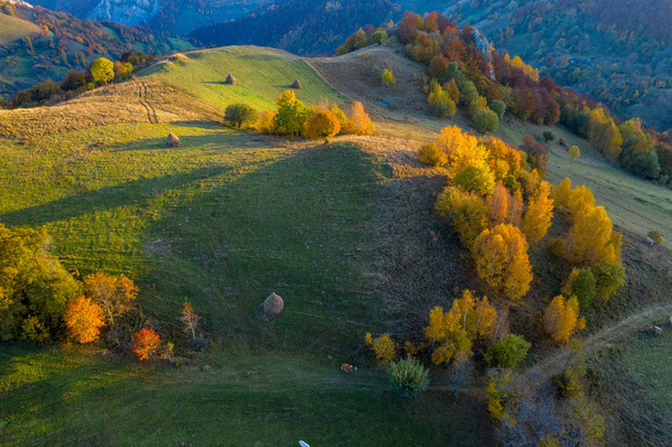 Aerial view of beautiful autumn hills and colorful forest from a drone. Transylvania, Romania - Foto, imagen