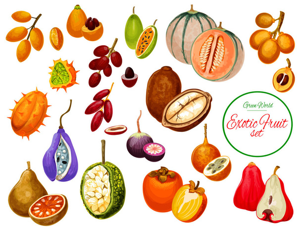 Иконы экзотических тропических фруктов и ягод
 - Вектор,изображение