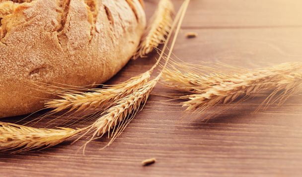 Freshly baked bread and spikelets of wheat. - Photo, Image