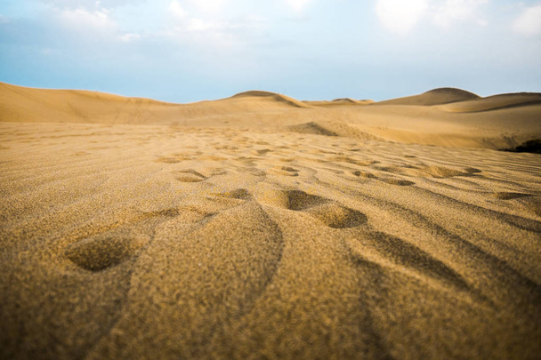 Sand and dunes desert, tropical place concept  - Photo, Image