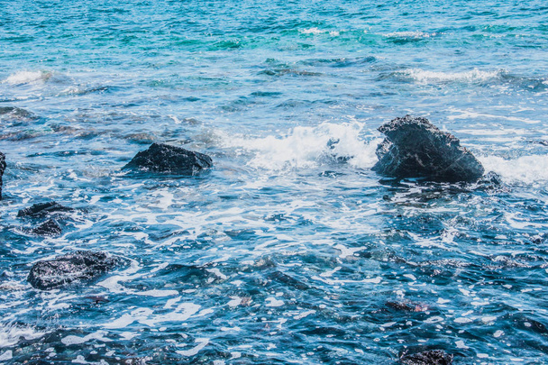 nature seashore and rocks - Photo, Image