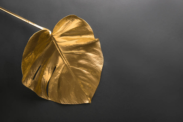 Golden monstera leaf-fekete háttér - Fotó, kép