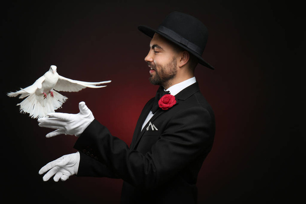 Male magician with white pigeon on dark background - Photo, Image
