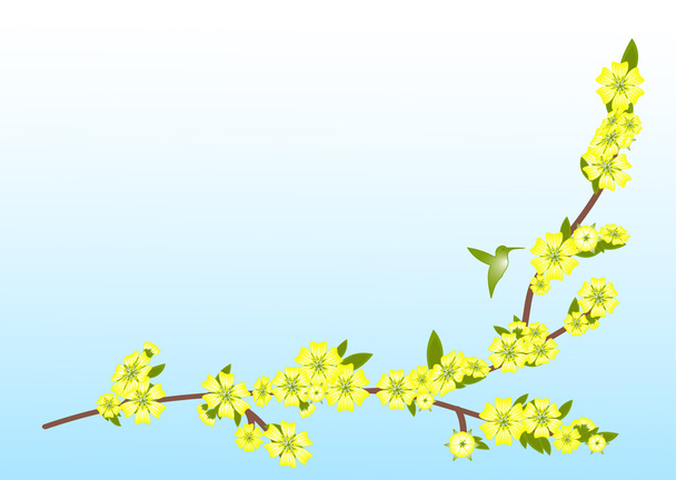 Branch with yellow flowers - Vector, Image