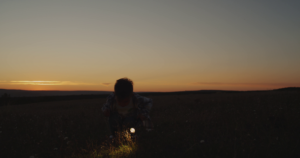 Trzech lat chłopiec na zachód grając z latarką w trawie. - Materiał filmowy, wideo