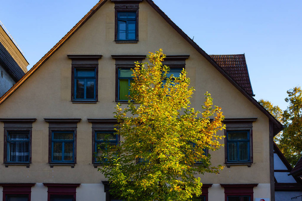 autumn color tree and leaves on city building facades in south germany - Photo, Image