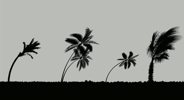 Palmen während Sturm und Hurrikan. Blätter fliegen vom Sturm über den Himmel. Vektorillustration - Vektor, Bild