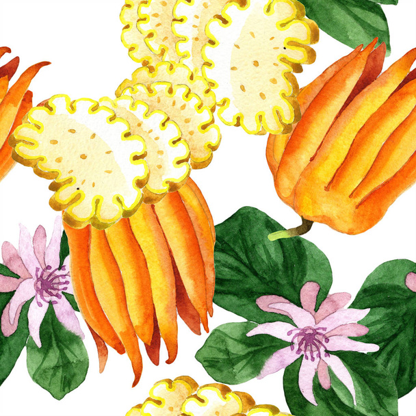 Exotické tropické rostliny divoké ovoce ve stylu akvarelu, samostatný. Vzor bezešvé pozadí.  - Fotografie, Obrázek