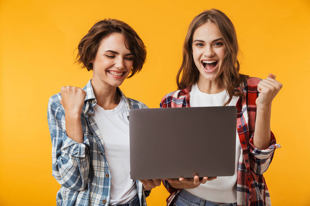 Image of amazing women friends isolated over yellow wall background using laptop computer make winner gesture. - Foto, Bild