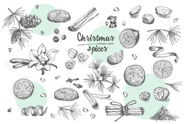 Conjunto de patrón de especias de invierno de Navidad dibujado a mano. Tradicionalmente utilizado en postres hechos, vino caliente con especias, galletas caseras. Buena idea para el menú de plantillas, recetas, tarjetas de felicitación. Ilustración vectorial
 - Vector, imagen