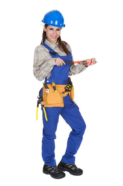 Female Worker Holding Wrench And Toolbox - Foto, immagini