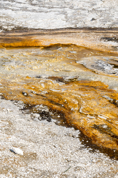 piscinas calientes en el Parque Nacional de Yellowstone en Wyoming
 - Foto, imagen